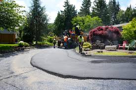 Best Driveway Snow Removal Preparation  in Lake Holiday, VA